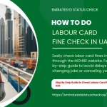 How to Do Labour Card Fine Check in UAE